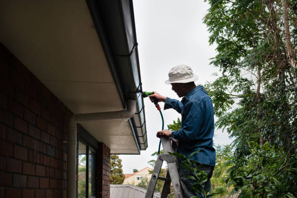 Comprehensive Gutter Cleaning and Inspection Services